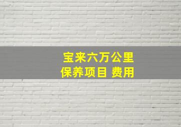 宝来六万公里保养项目 费用